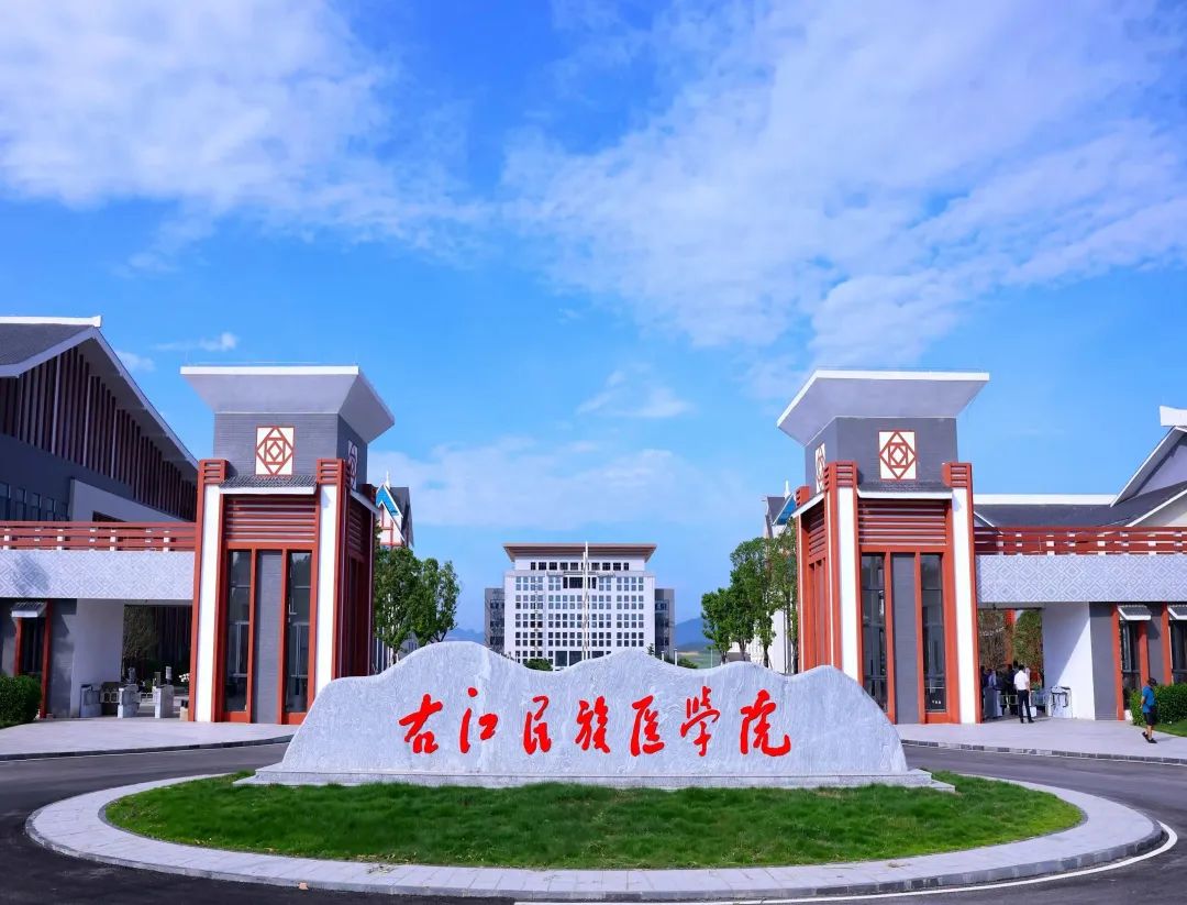 右江民族医学院百东校区一期校门口.JPG